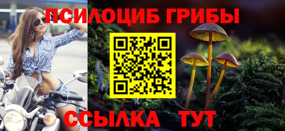 Людиново  Галлюциногенные грибы Magic Shrooms  Вход с VPN  Псилоцибиновые грибы MAGIC MUSHROOMS 